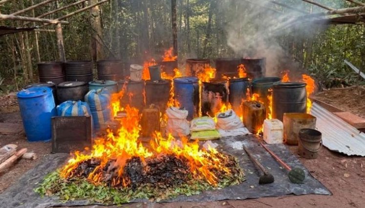 La Armada, el Ejército y la Policía destruyeron cinco laboratorios de pasta base de coca en Cumaribo, Vichada, que generaban millonarios ingresos al Frente 44 'Antonio Ricaurte' del Estado Mayor Central.