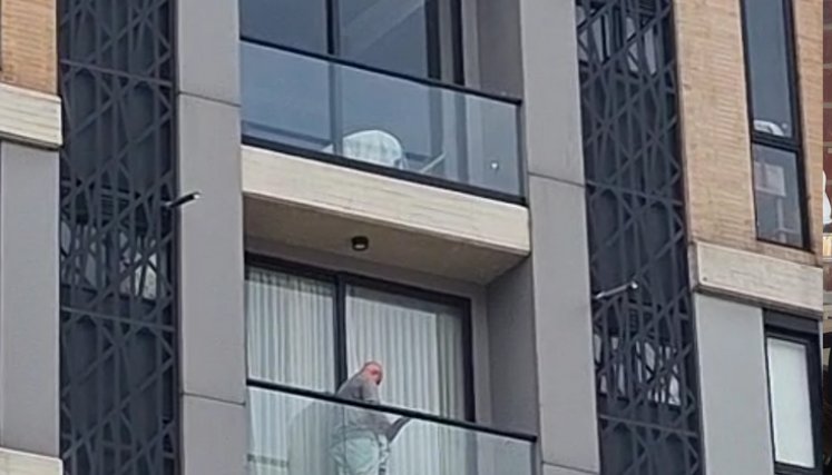Abuso sexual bogota