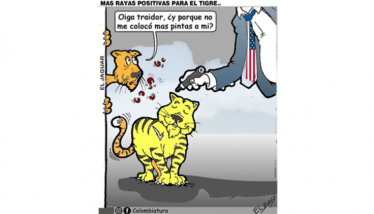 Más rayas positivas para el tigre