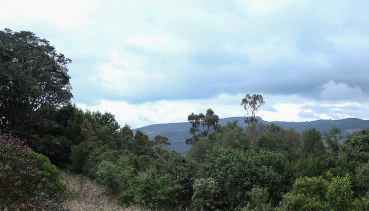 Firman primer plan ambiental para proteger el páramo de Rabanal