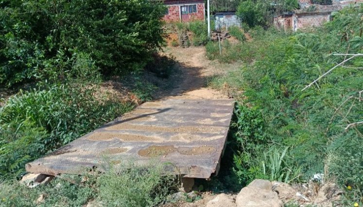 Culebras e insectos afectan al barrio María Teresa.