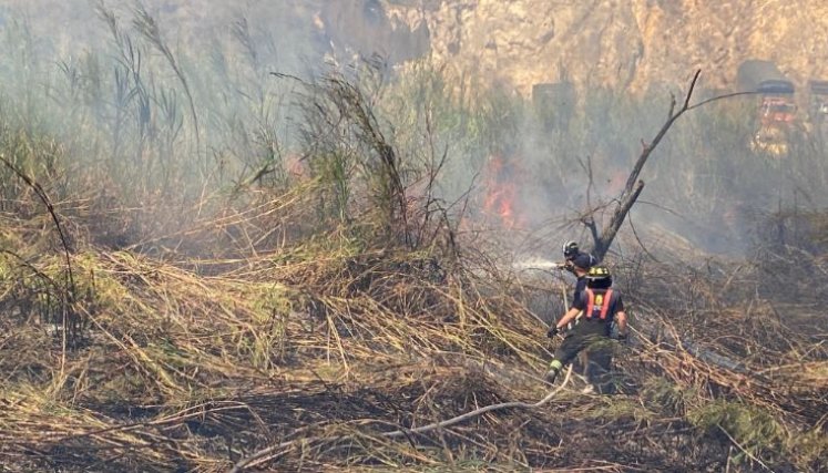 Incendios forestales por El Niño.