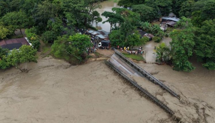 Puente de Caño Negro.