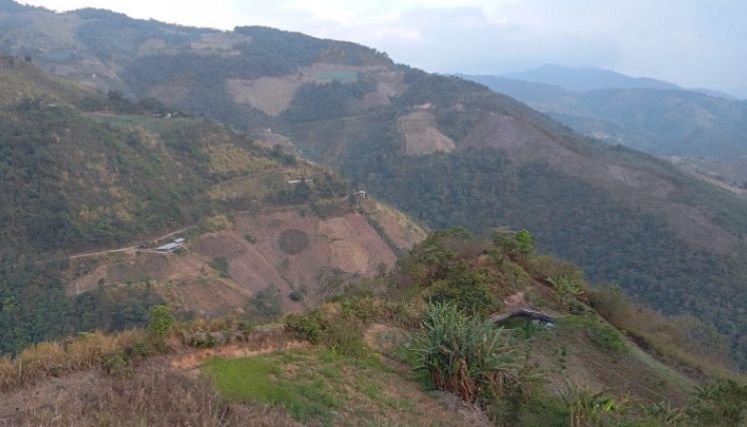 La tala indiscriminada de bosques preocupa a las autoridades ambientales de la provincia de Ocaña y sur del Cesar.