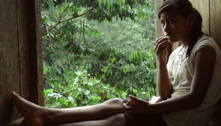 El Encuentro de Cine del Putumayo reunirá historias de la Amazonía