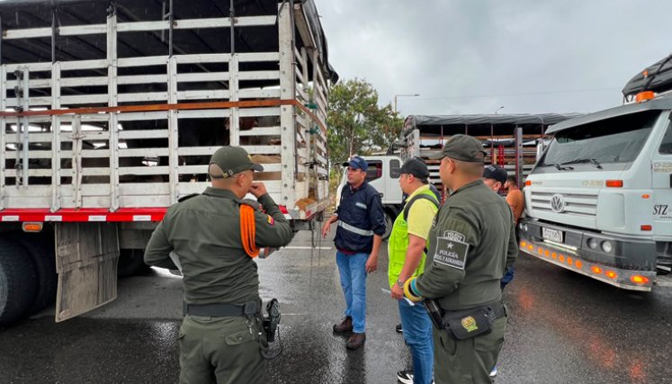OPERATIVO CONJUNTO PERMITE INCAUTACIÓN DE 26 SEMOVIENTES Y FORTALECE EL CONTROL SANITARIO EN NORTE DE SANTANDER