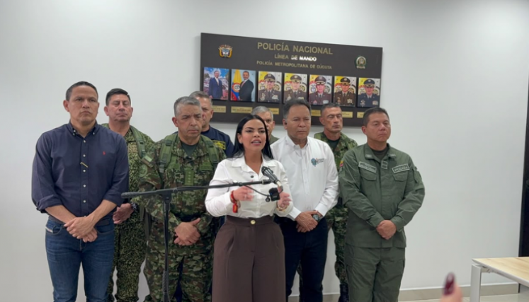 Consejo de Seguridad. Foto cortesía