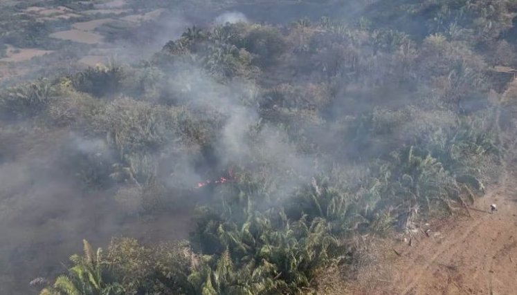 INCENDIOS 