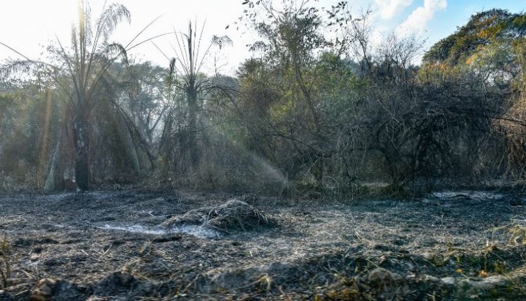 INCENDIOS EN TOLIMA 