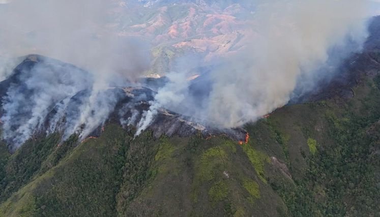Los incendios forestales han dejado grandes pérdidas económicas en zona rural de Ocaña.