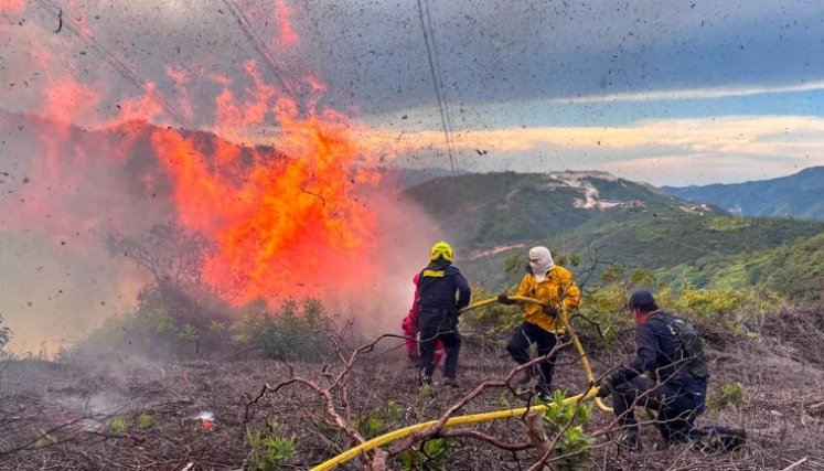 Incendio forestal en Ocaña.