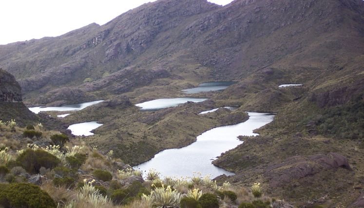 Ministerio de Ambiente lanza tres proyectos para salvar el páramo de Santurbán.