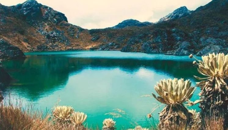 Delimitar el ecosistema por etapas y la creación de nuevas áreas de reserva forestal.