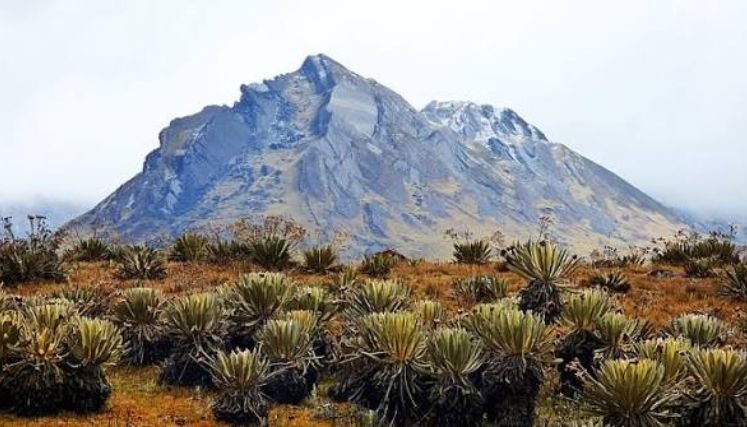 Ministerio de Ambiente lanza tres proyectos para salvar el páramo de Santurbán.