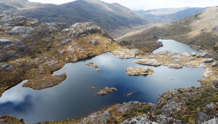 Delimitar el ecosistema por etapas y la creación de nuevas áreas de reserva forestal.