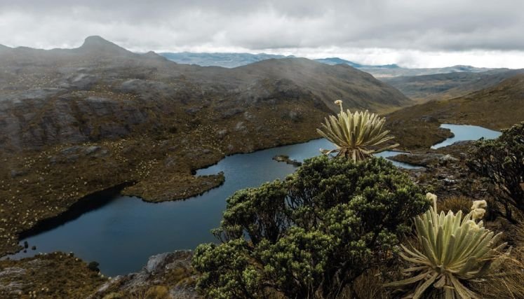 Ministerio de Ambiente lanza tres proyectos para salvar el páramo de Santurbán.