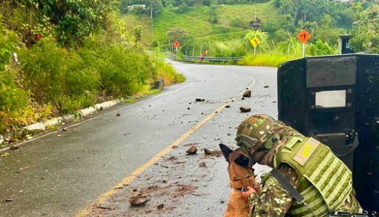 Ejército destruyó artefacto explosivo instalado por disidencias en vía de Antioquia