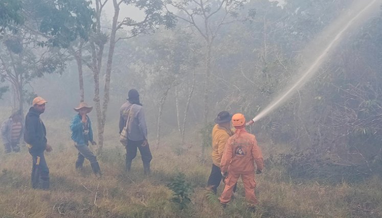 Incendio forestal arrasa con 700 hectáreas en Ocaña y genera alerta por contaminación