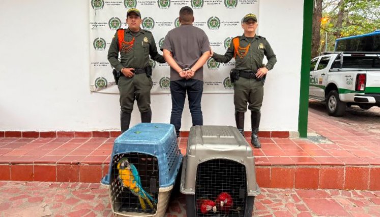 Capturas por trafico de fauna silvestre.
