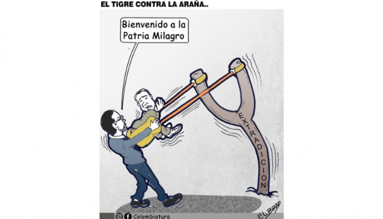 El tigre contra la araña...