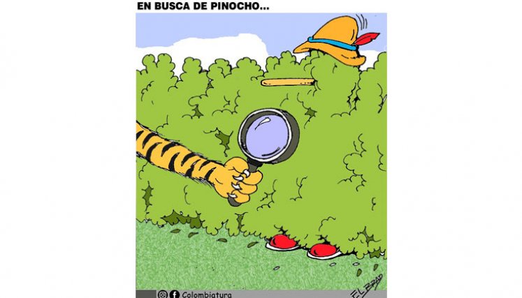 En busca de pinocho...
