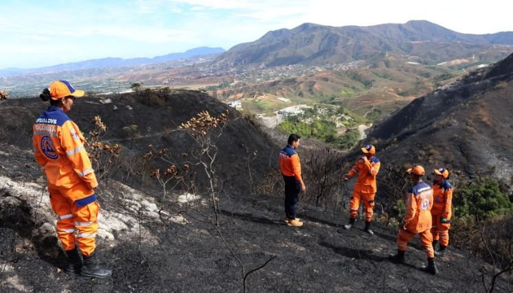 Incalculables pérdidas dejan incendio forestal en zona rural de Ábrego. Fotos Carlos Ramírez.
