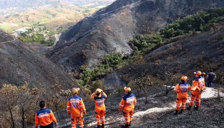Incalculables pérdidas dejan incendio forestal en zona rural de Ábrego. Fotos Carlos Ramírez.