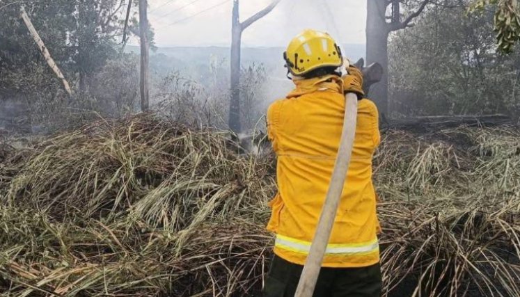 Incendio forestal.