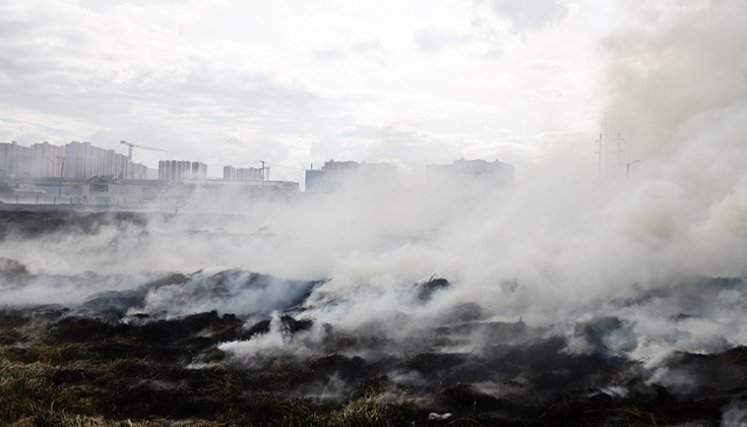 Incendio-forestal. Foto: Colprensa.
