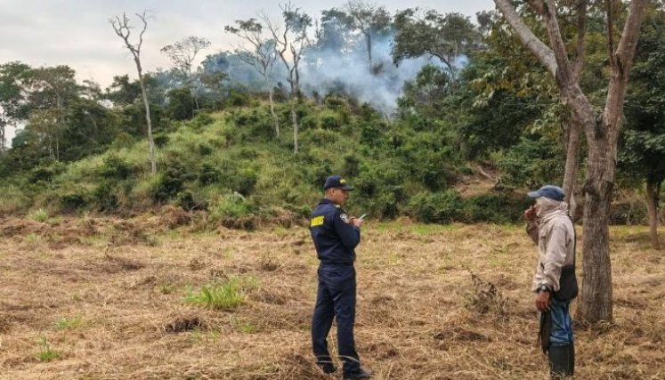 Incendios zona rural.