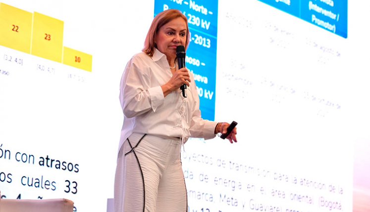 Ministra de Minas y Energía, María Nohemí Arboleda. / Foto: cortesía
