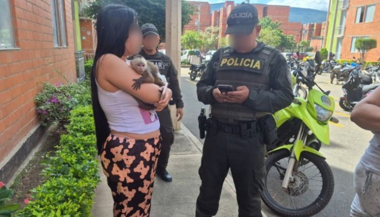 Tres personas este año han entregado sus animales de manera voluntaria.
