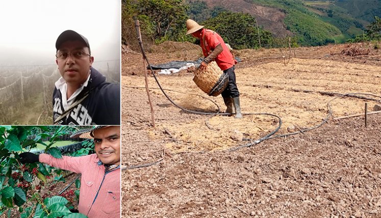 Son muy pocos los productores que se adelantan a las pérdidas y se soportan en un seguro agropecuario. / Fotos cortesía