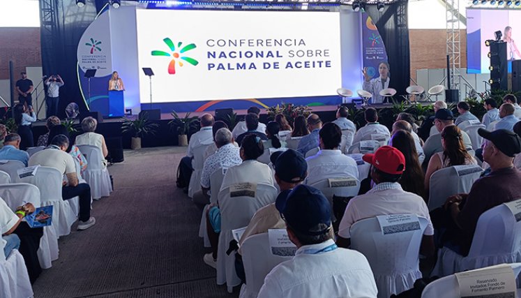 Conferencia Nacional sobre Palma de Aceite. / Foto: Leonardo Favio Oliveros-La Opinión