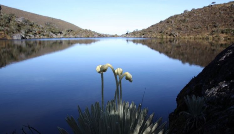 Privilegiar el agua antes que la minería le piden las comunidades al Gobierno/Foto cortesía Edgar Osma