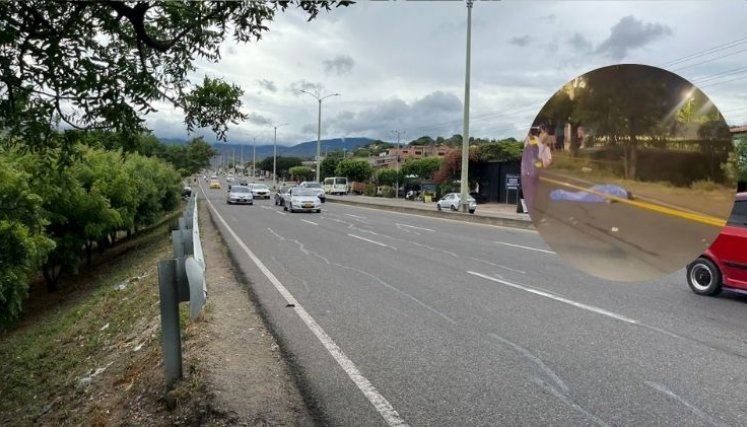 Atropello Autopista Eliécer