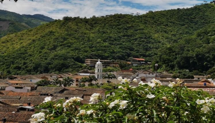 Líderes sociales claman desescalar el conflicto en la zona del Catatumbo.