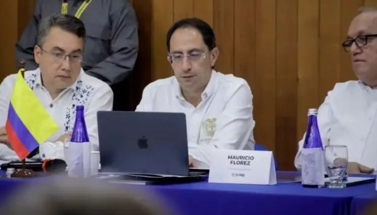 Minerales críticos desatan polémica y cuestionan al Gobierno por inversión extranjera: “El Tolima no está en venta”