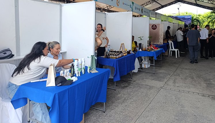 Feria de Negocios Verdes. / Foto: Leonardo Favio Oliveros-La Opinión