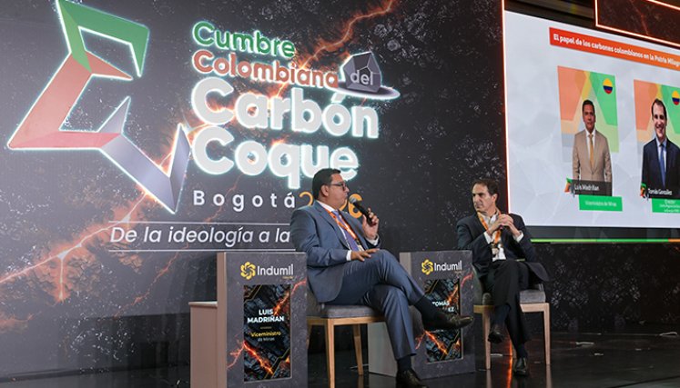 Viceministro de Minas, Luis Madriñan. / Foto: cortesía