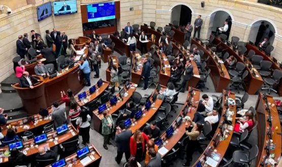 nuevo-senado
