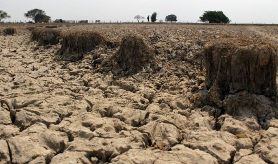Las altas temperaturas que se producirán en un eventual fenómeno de El Niño causará el secamiento del suelo y los bosques/Foto Archivo