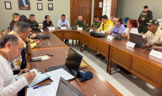 Comisión Intersectorial para la Respuesta Rápida a las Alertas Tempranas, analiza panorama en la subregión del Catatumbo.