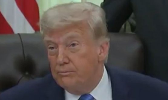 DONALD TRUMP 