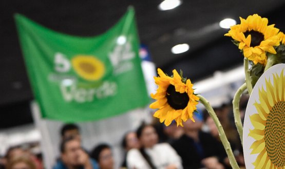 Alianza Verde se fractura tras la elección de De la Espriella y se aleja del petrismo