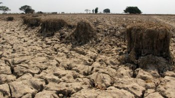 Las altas temperaturas que se producirán en un eventual fenómeno de El Niño causará el secamiento del suelo y los bosques/Foto Archivo