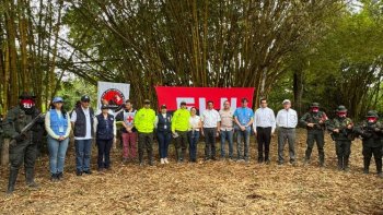 LIBERADOS EN ARAUCA