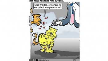 Más rayas positivas para el tigre