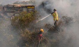 Incendios forestales no cesan en el país./Foto Colprensa