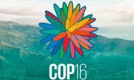 COP 16